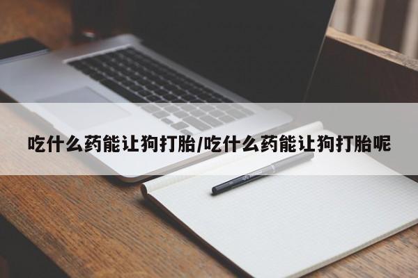 流产药如何购买吃什么药能让狗打胎/吃什么药能让狗打胎呢
