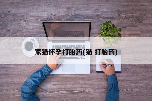 流产药如何购买家猫怀孕打胎药(猫 打胎药)